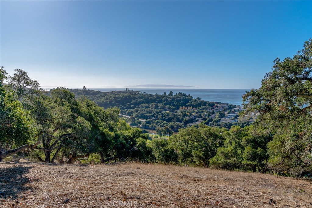 MLS #NS25097350 image #15