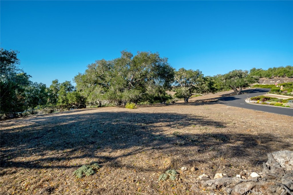 MLS #NS25097350 image #21