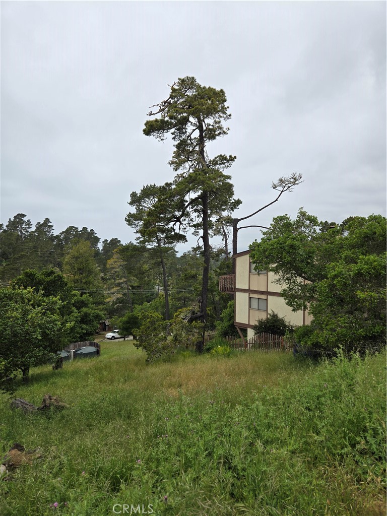 MLS #NS25099504 image #1