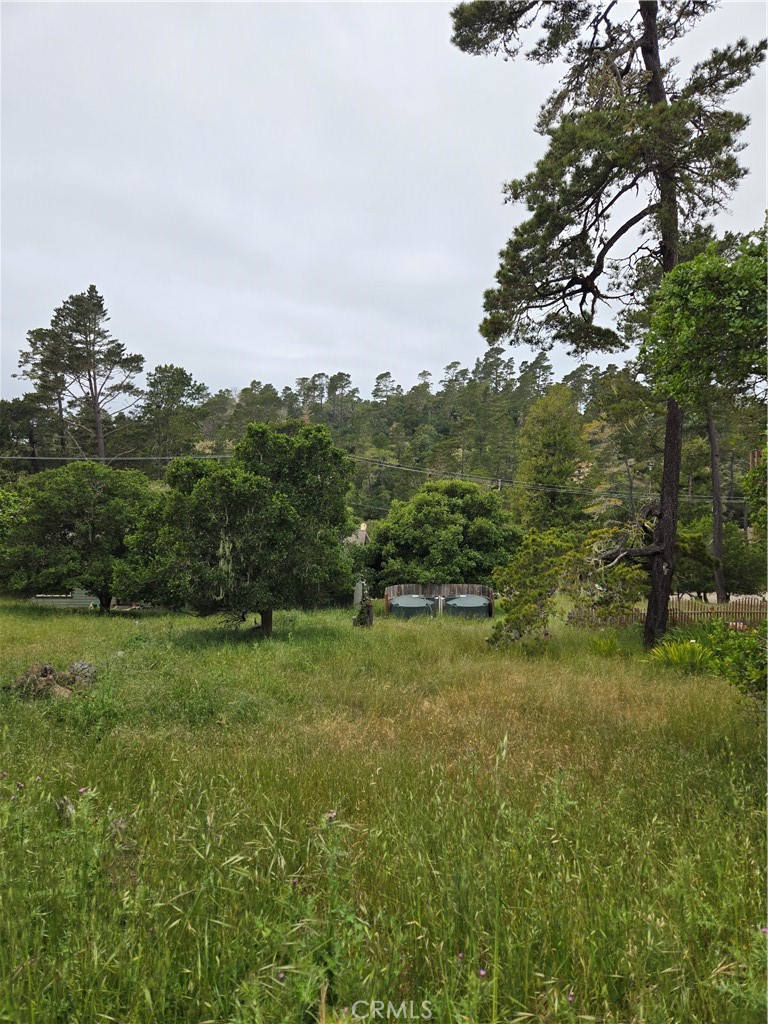 MLS #NS25099504 image #2