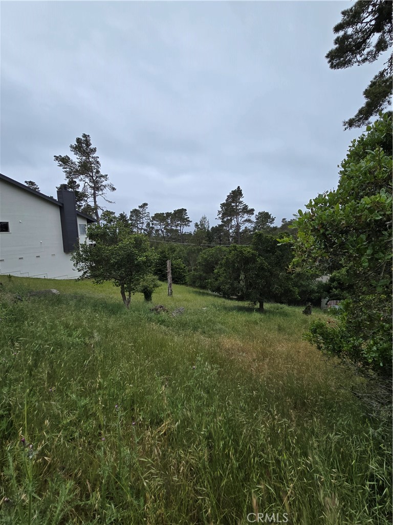 MLS #NS25099504 image #3