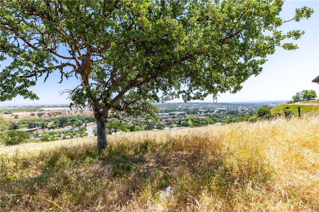 MLS #NS25102196 image #5