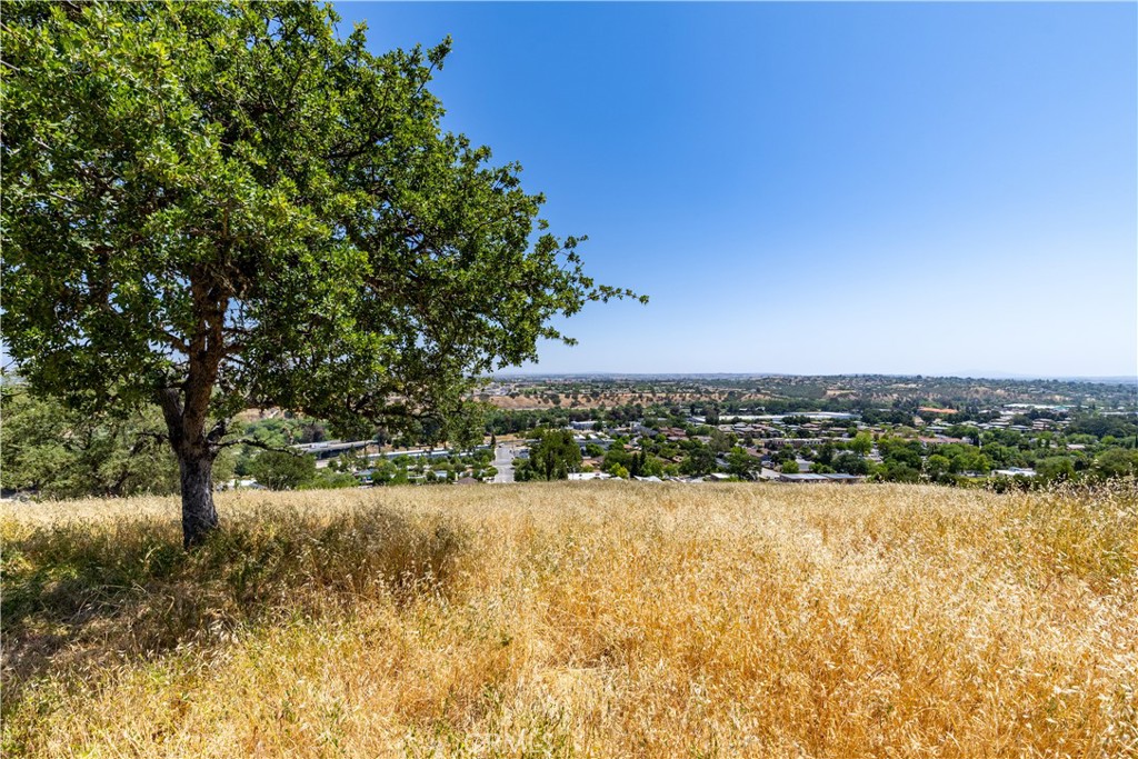 MLS #NS25102196 image #6