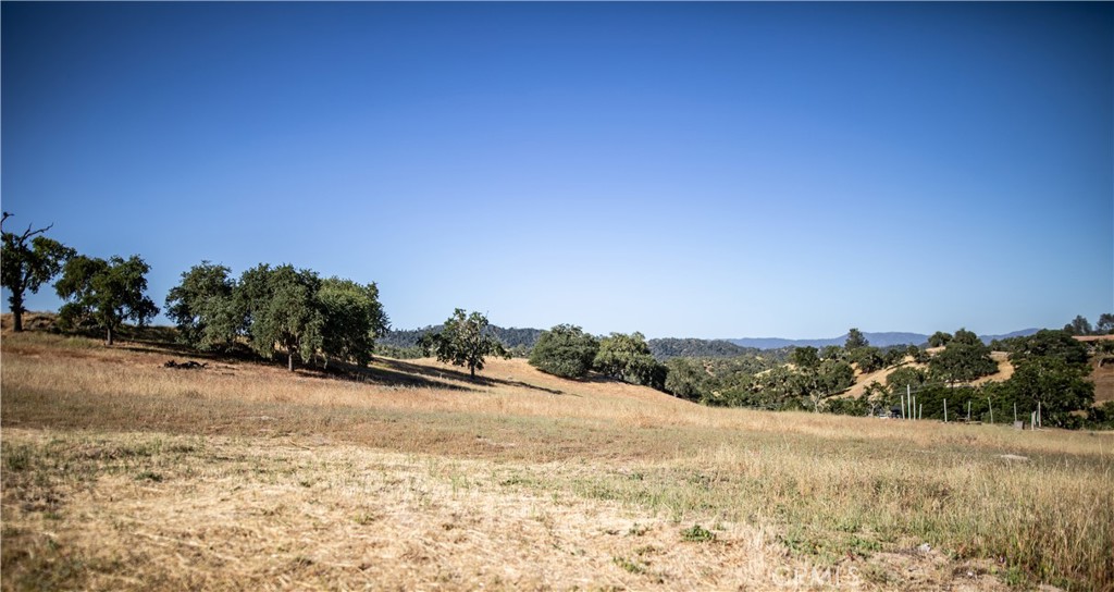 MLS #NS25103119 image #14