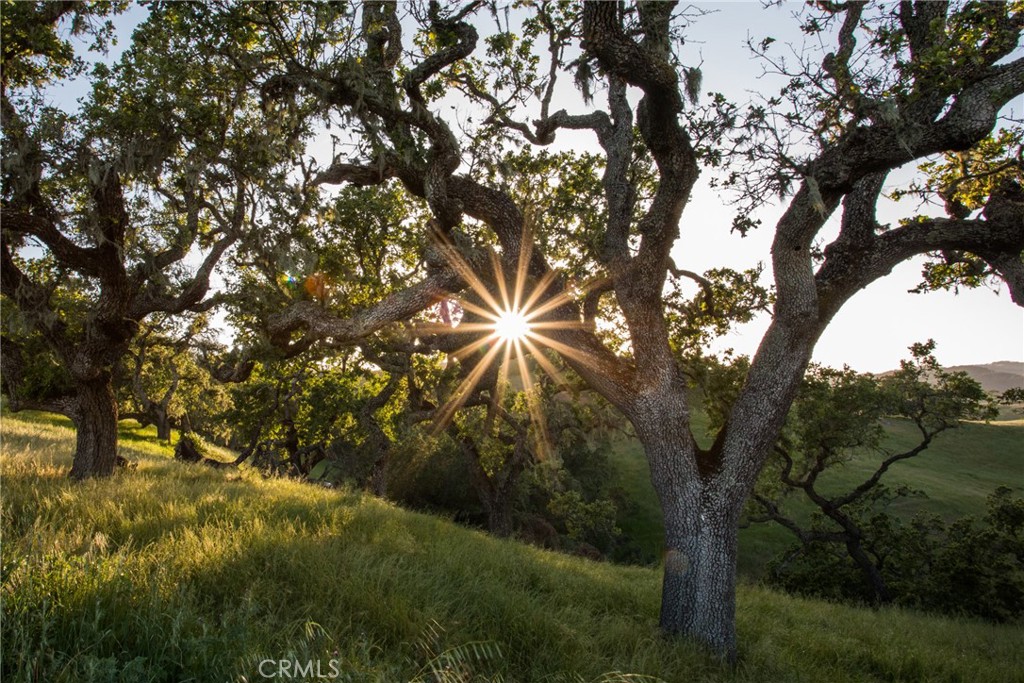 MLS #NS25103954 image #25