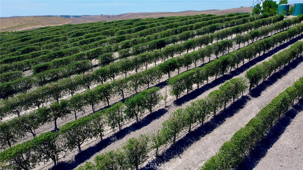 MLS #NS25106354 image #13