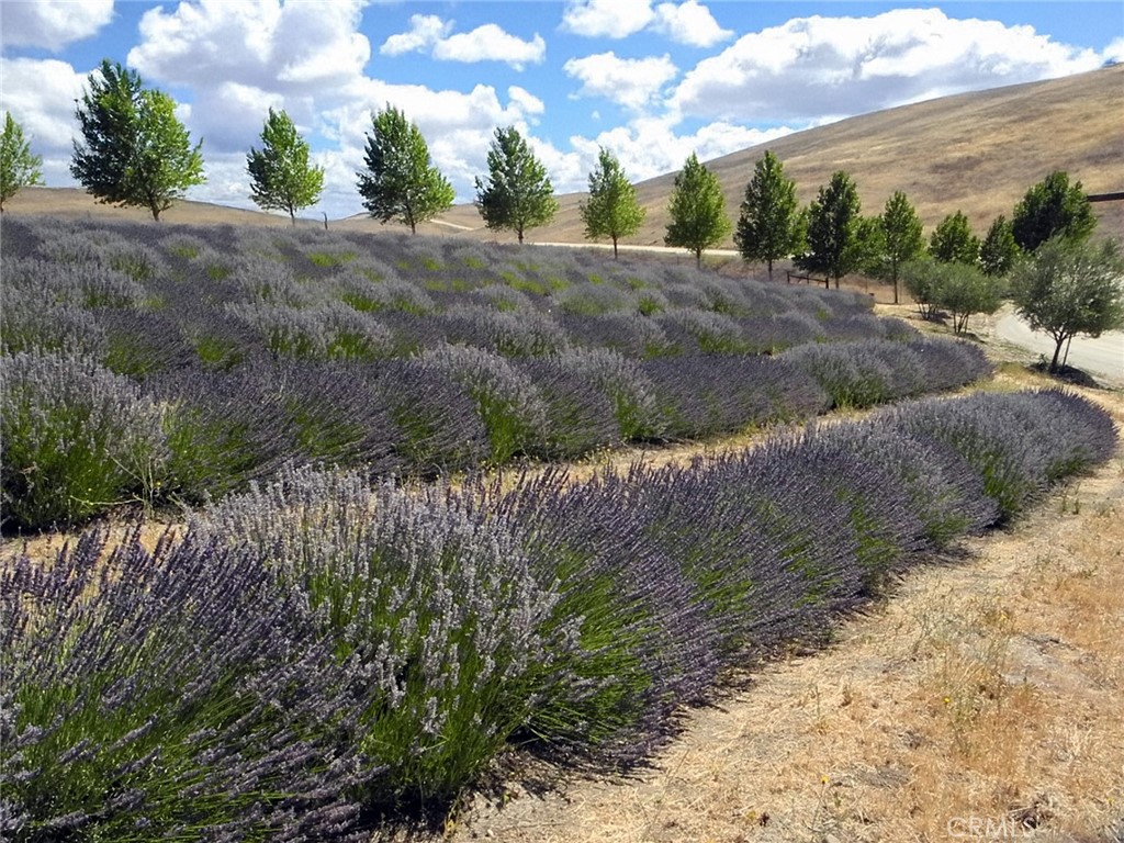 MLS #NS25106354 image #14