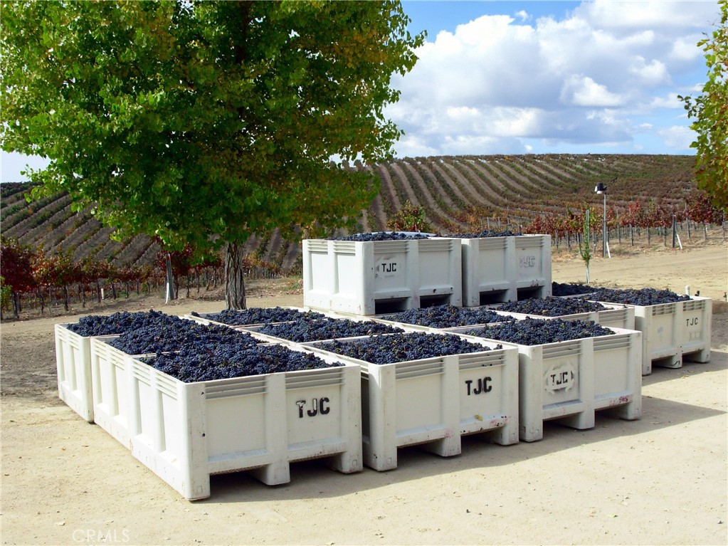 MLS #NS25106354 image #16