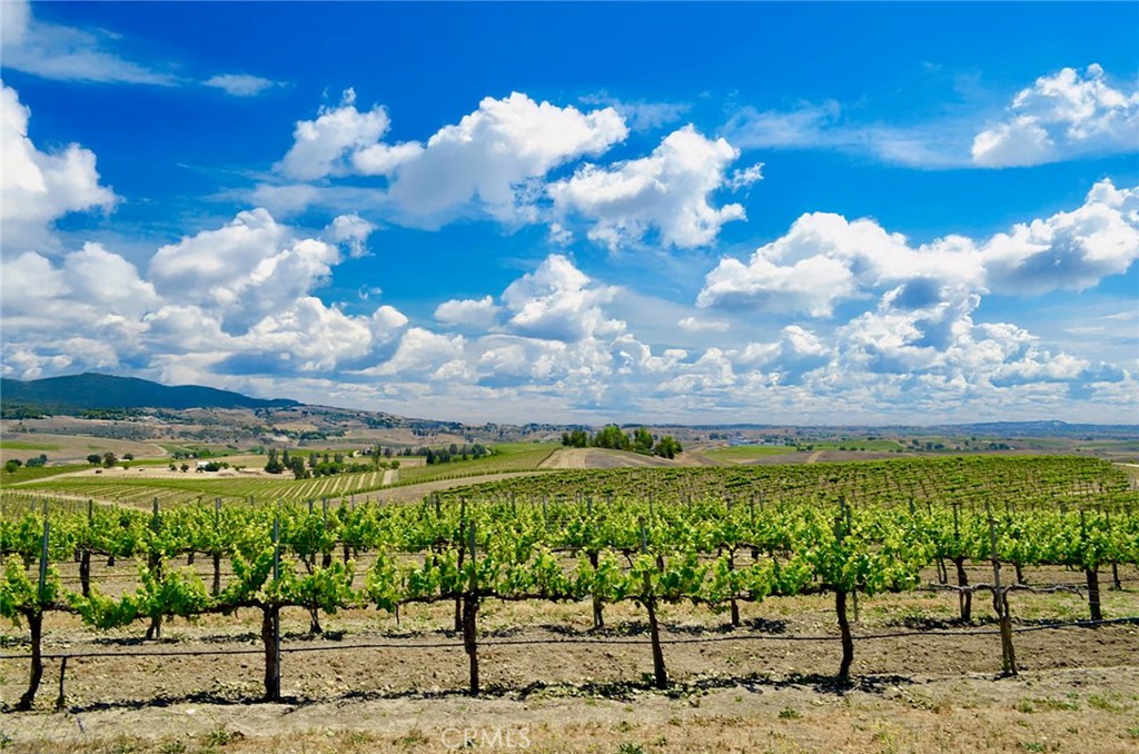 MLS #NS25106354 image #2