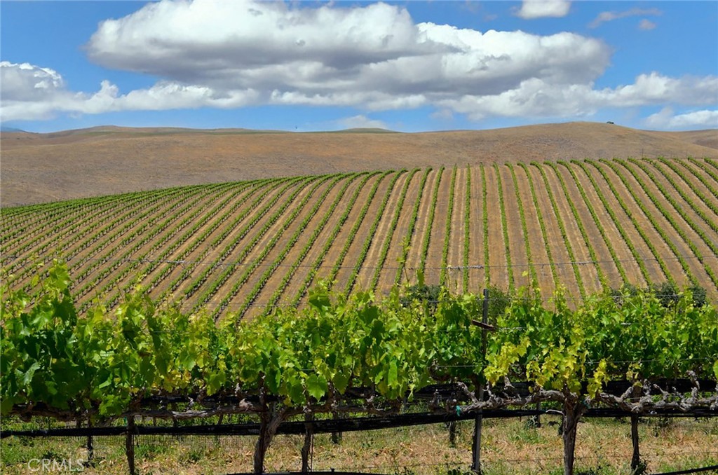 MLS #NS25106354 image #21