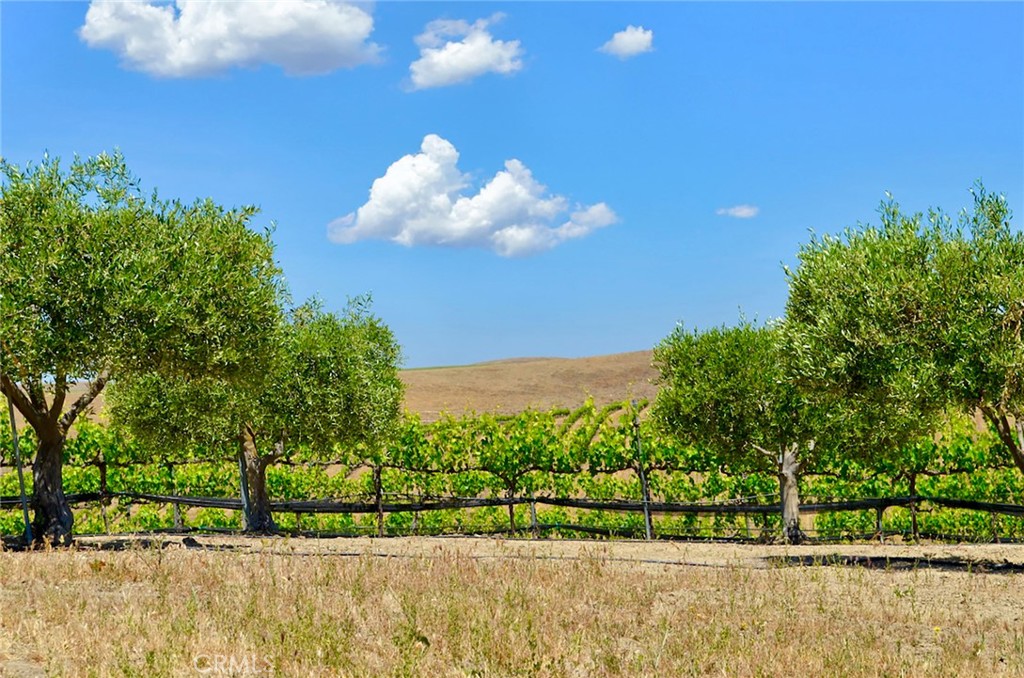 MLS #NS25106354 image #25