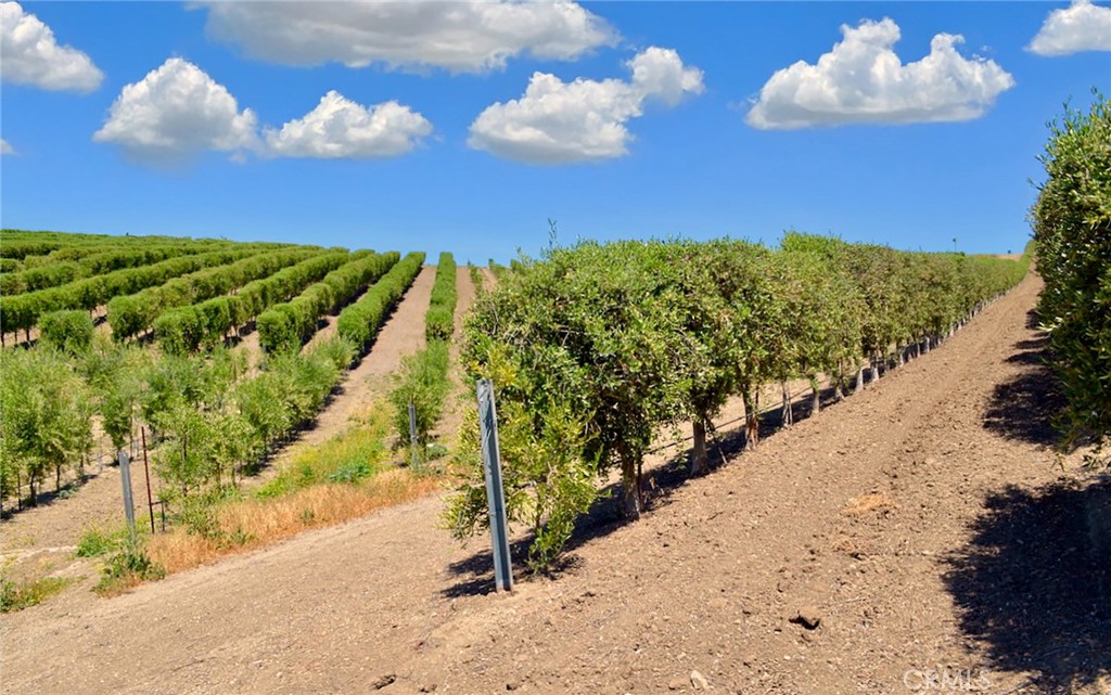 MLS #NS25106354 image #27