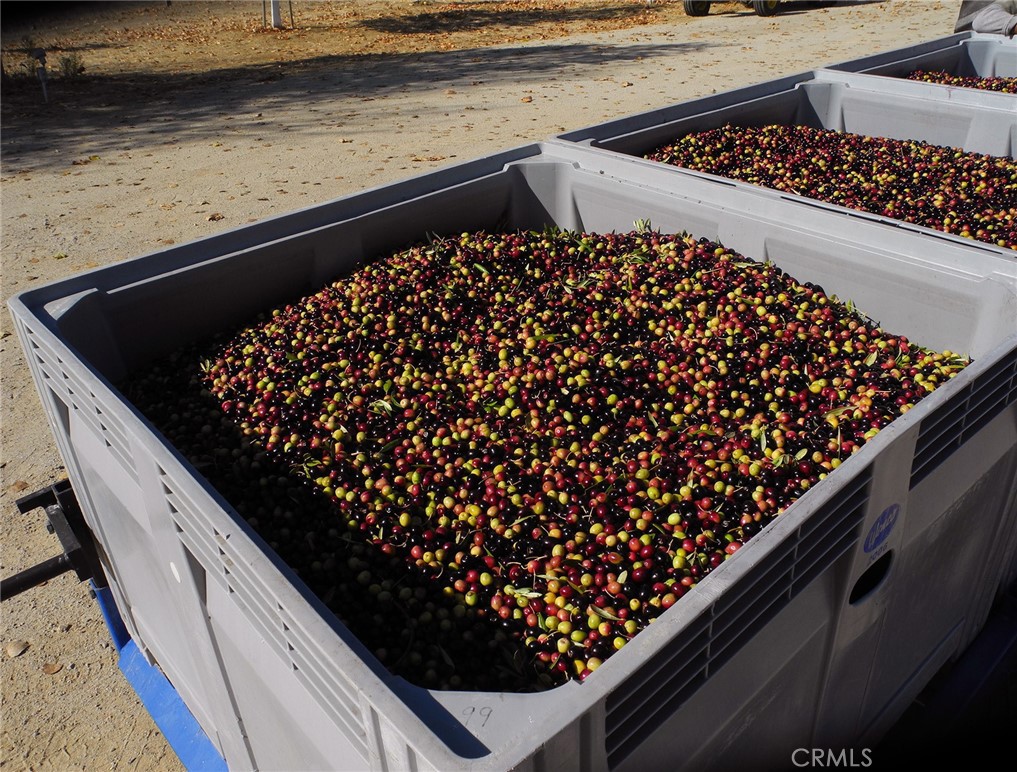 MLS #NS25106354 image #29