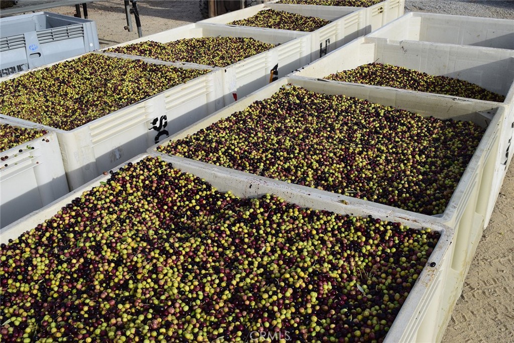 MLS #NS25106354 image #30