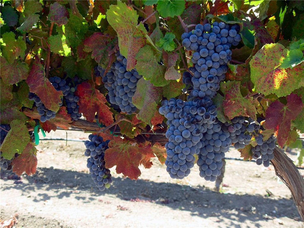 MLS #NS25106354 image #31