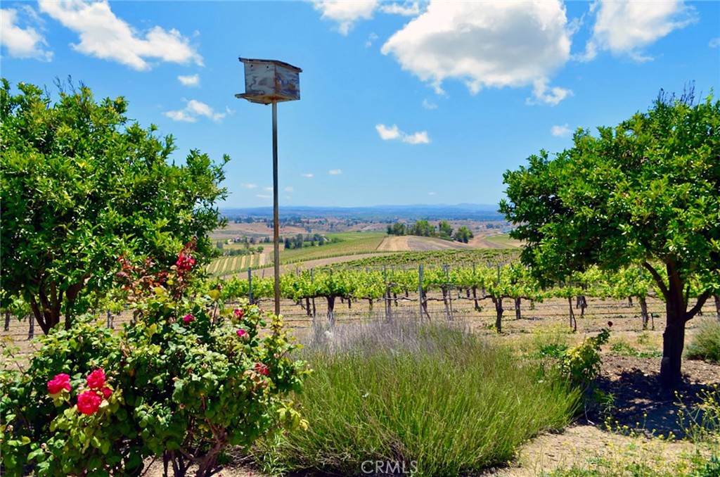 MLS #NS25106354 image #4