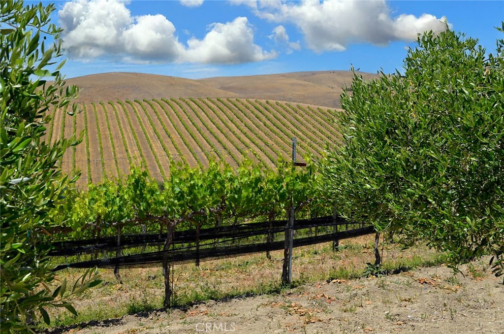 MLS #NS25106354 image #5