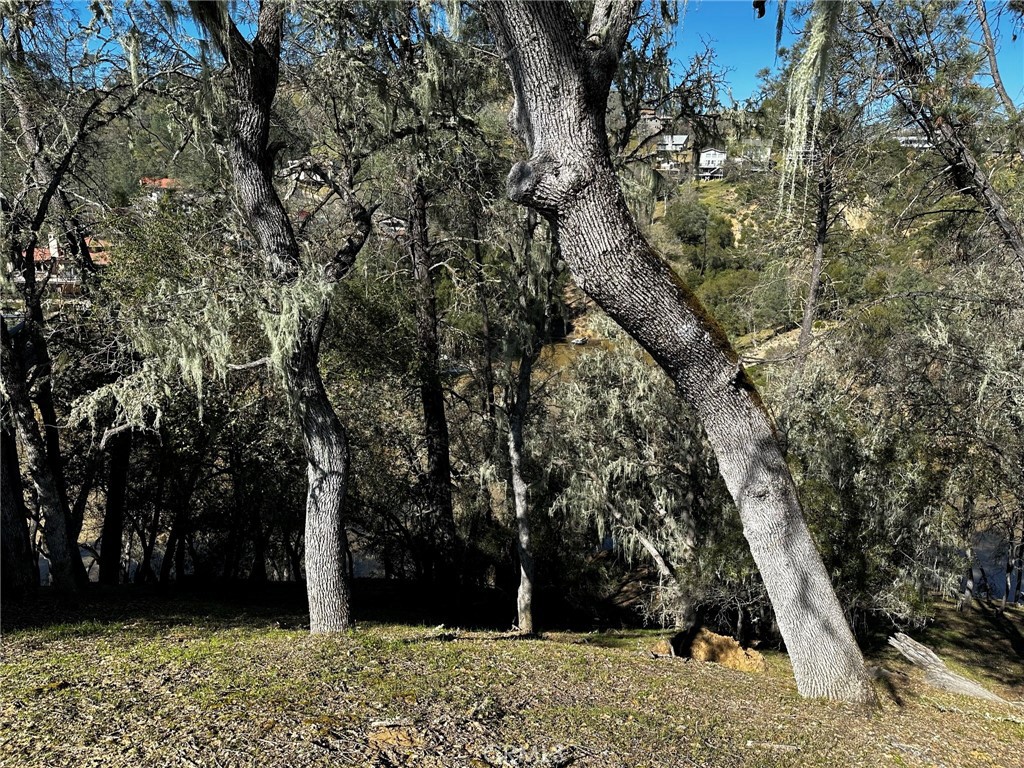 MLS #NS25113907 image #2