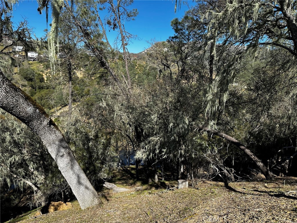 MLS #NS25113907 image #3