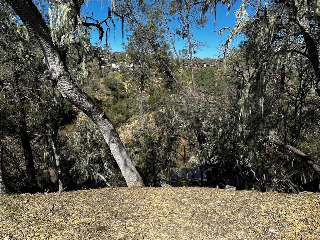 MLS #NS25113907 image #4