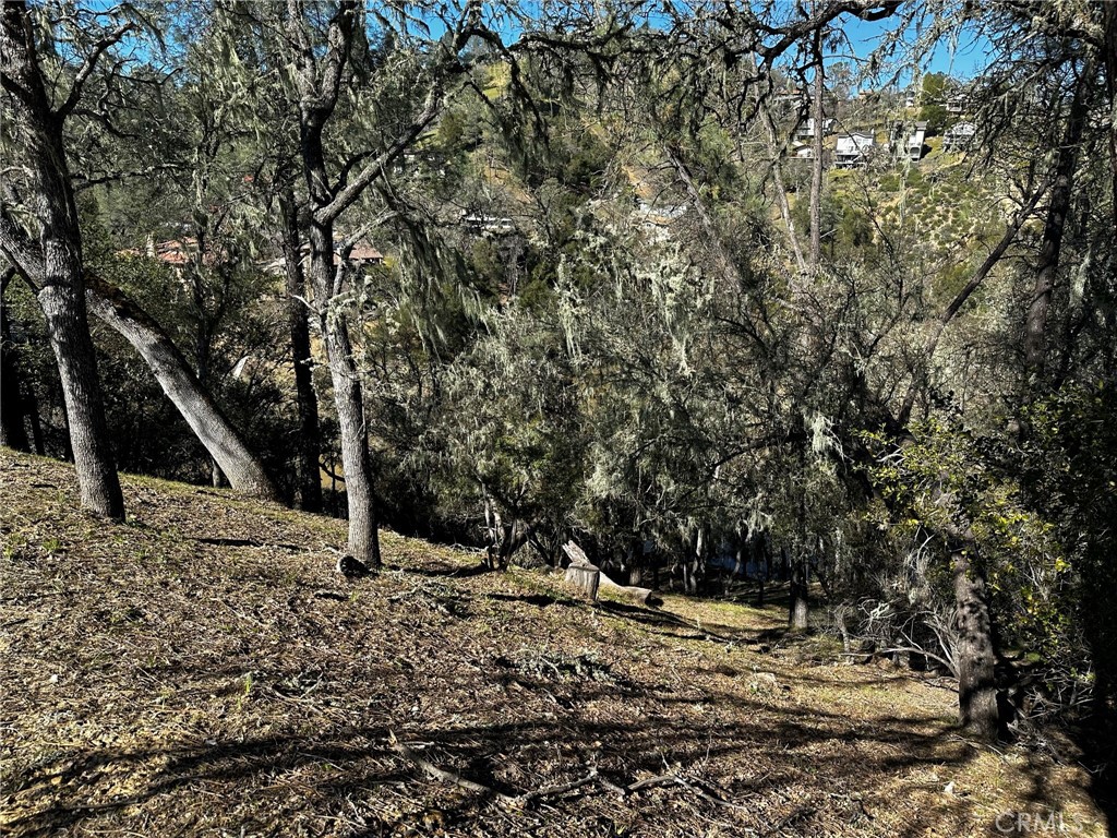 MLS #NS25113907 image #5