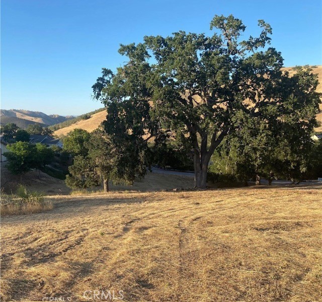 MLS #NS25116594 image #7