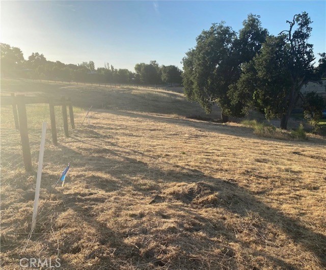 MLS #NS25116594 image #8