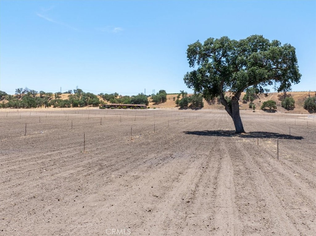 MLS #NS25119886 image #54