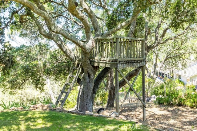 MLS #NS25120381 image #39