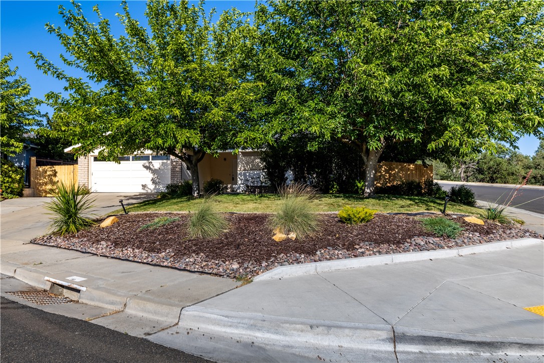 MLS #NS25123129 image #5