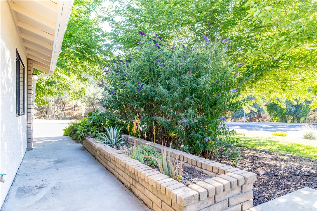 MLS #NS25123129 image #7