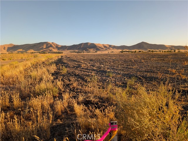 MLS #NS25126966 image #13