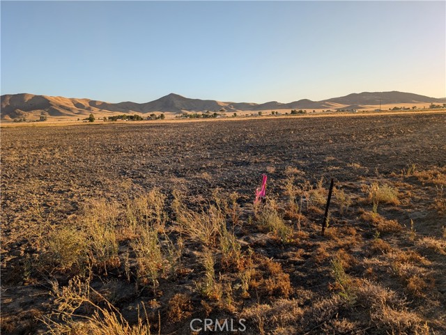 MLS #NS25126966 image #14