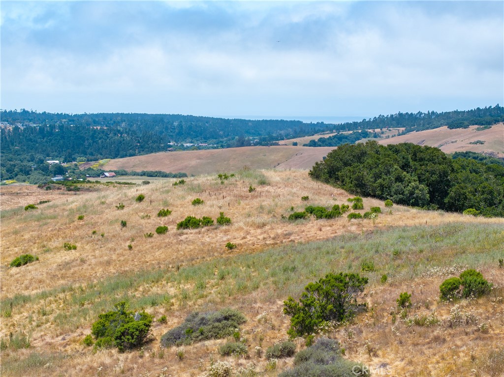 MLS #NS25128555 image #10