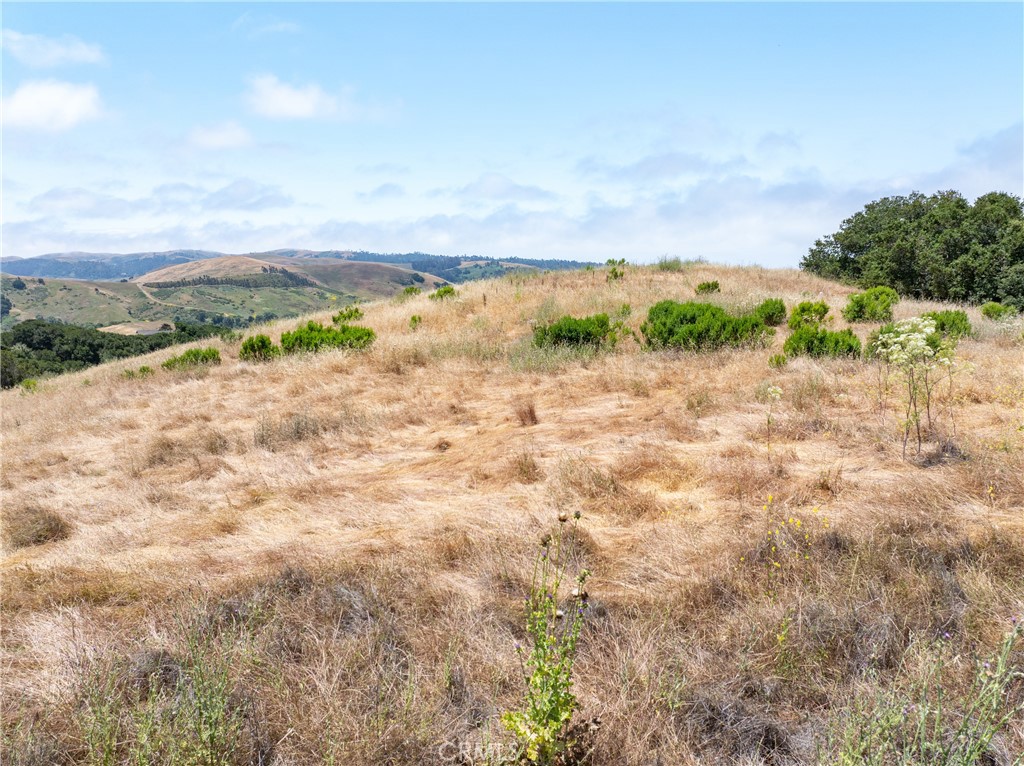 MLS #NS25128555 image #11