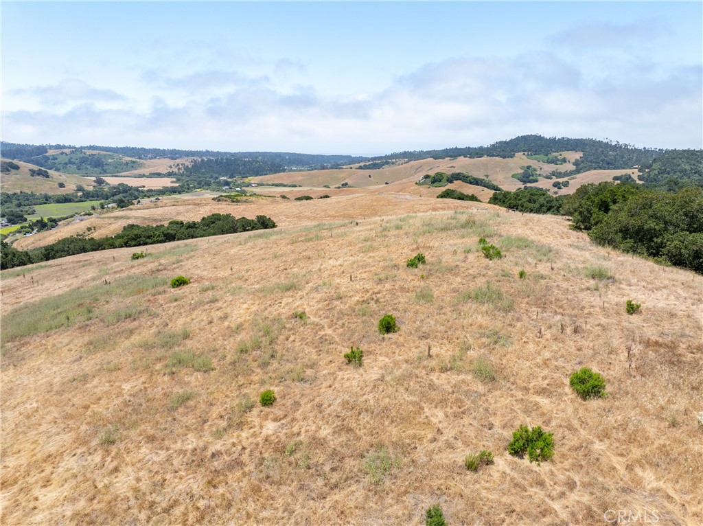 MLS #NS25128555 image #13