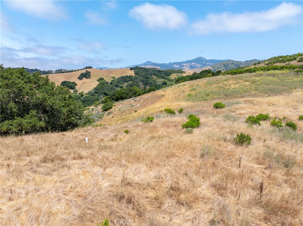 MLS #NS25128555 image #14