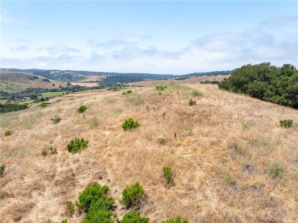 MLS #NS25128555 image #2