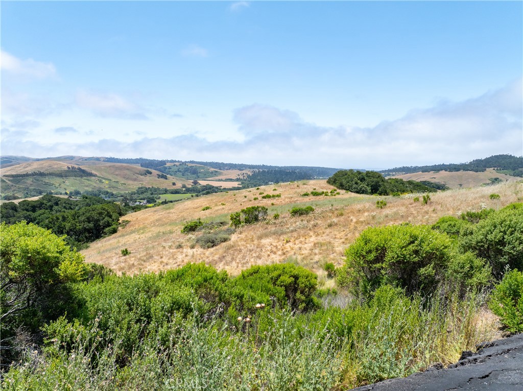 MLS #NS25128555 image #24