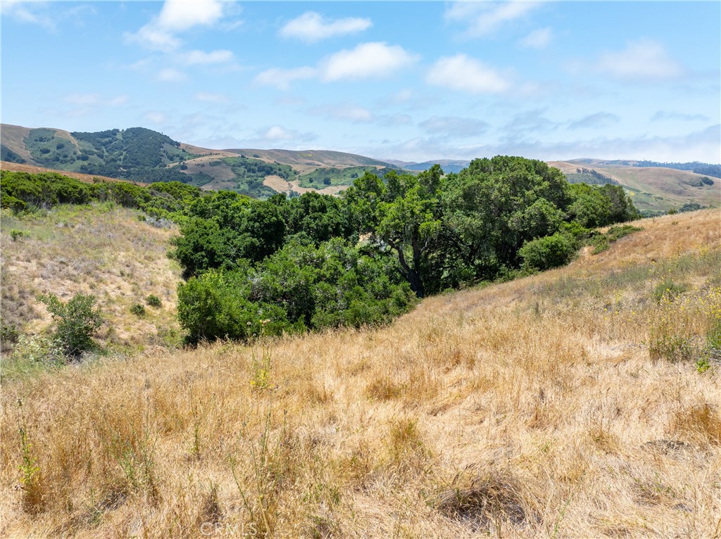 MLS #NS25128555 image #25