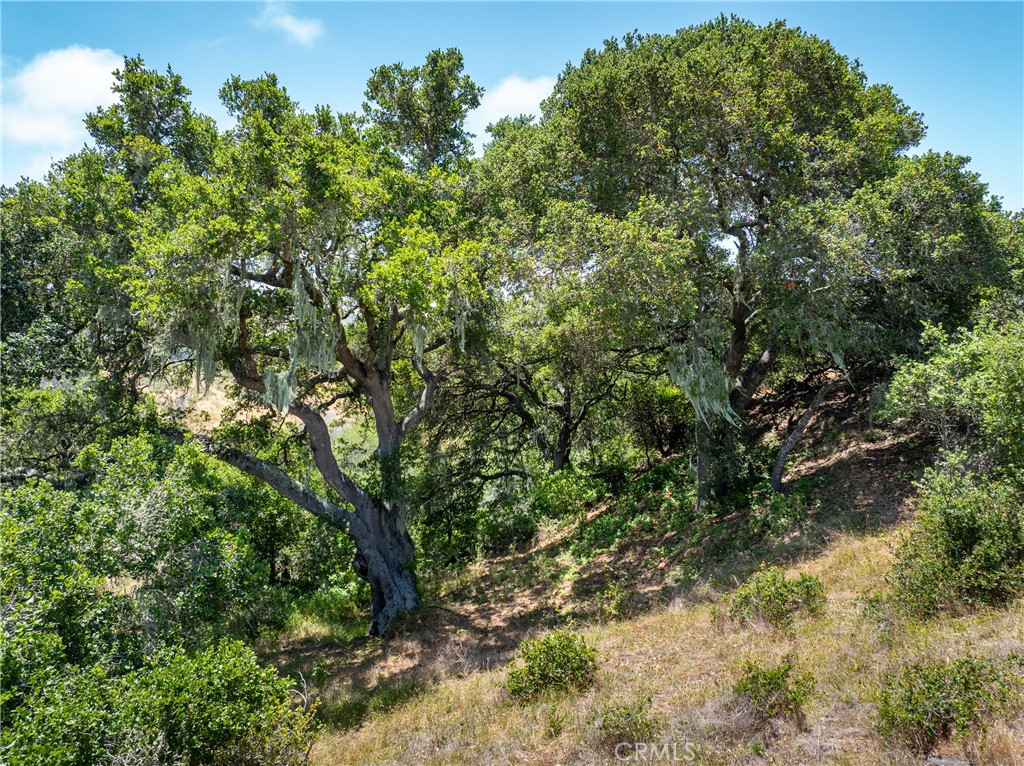 MLS #NS25128555 image #26