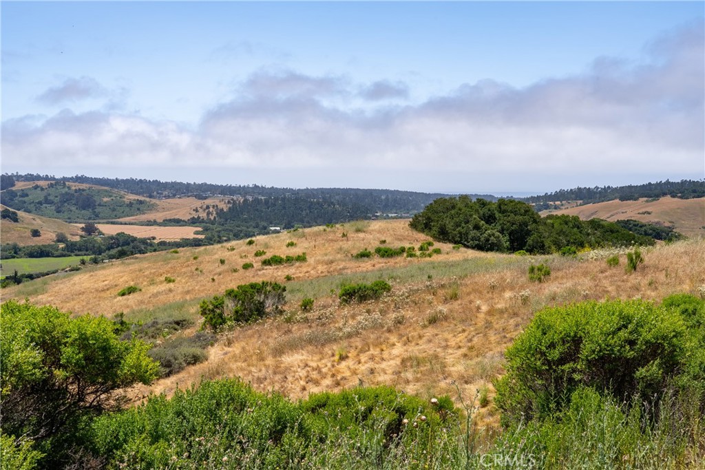 MLS #NS25128555 image #29