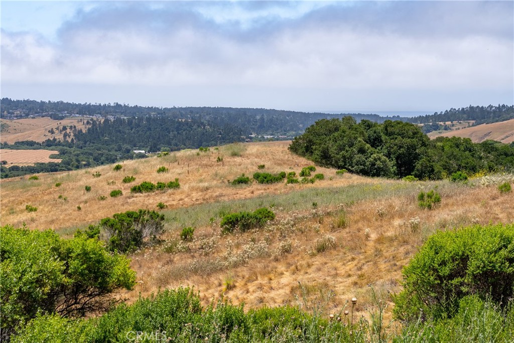 MLS #NS25128555 image #30