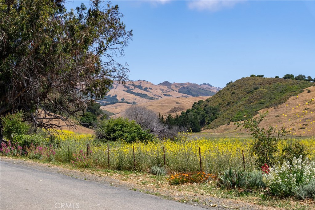 MLS #NS25128555 image #32