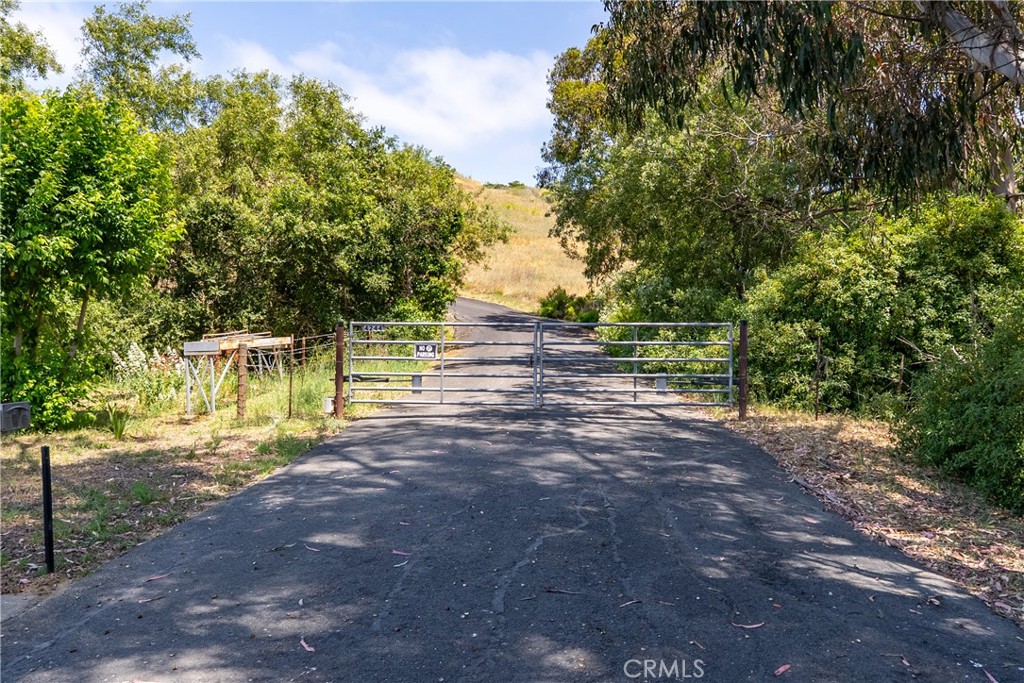 MLS #NS25128555 image #5