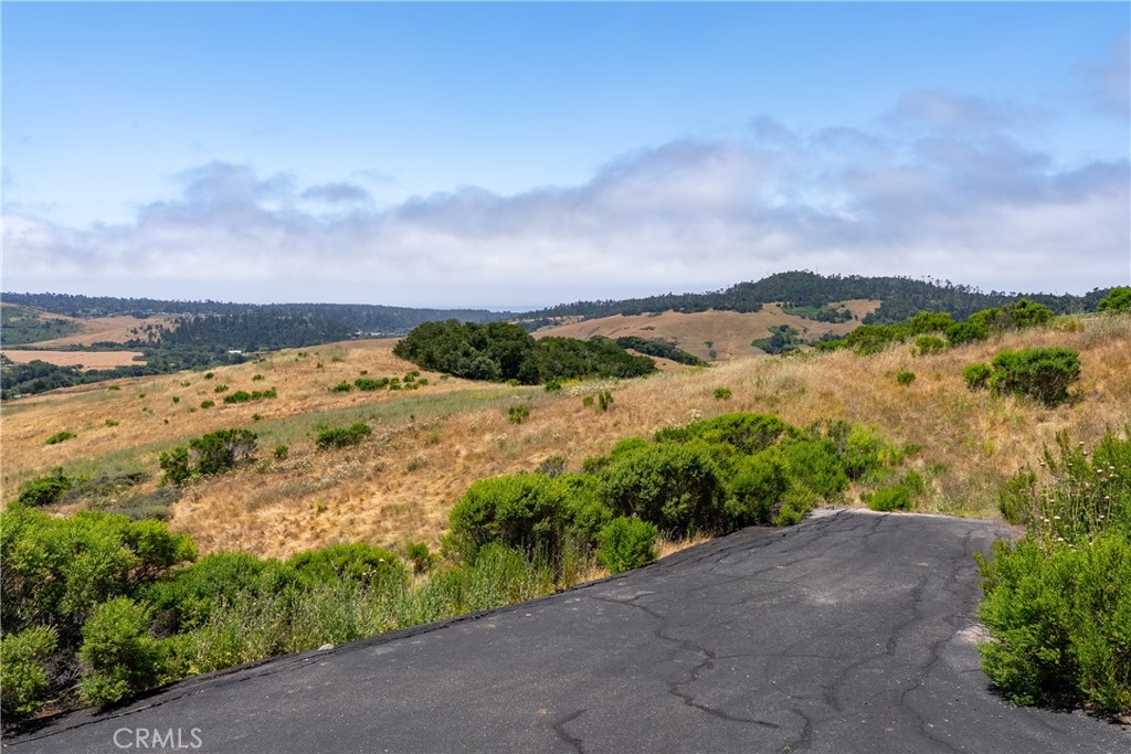 MLS #NS25128555 image #8