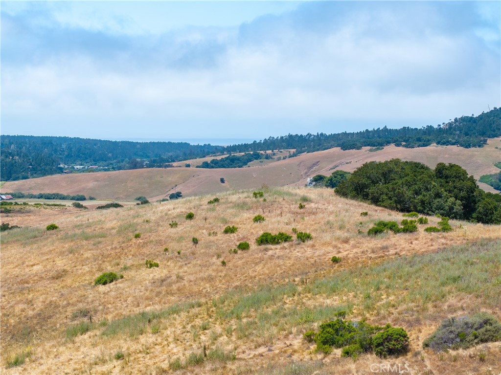 MLS #NS25128555 image #9