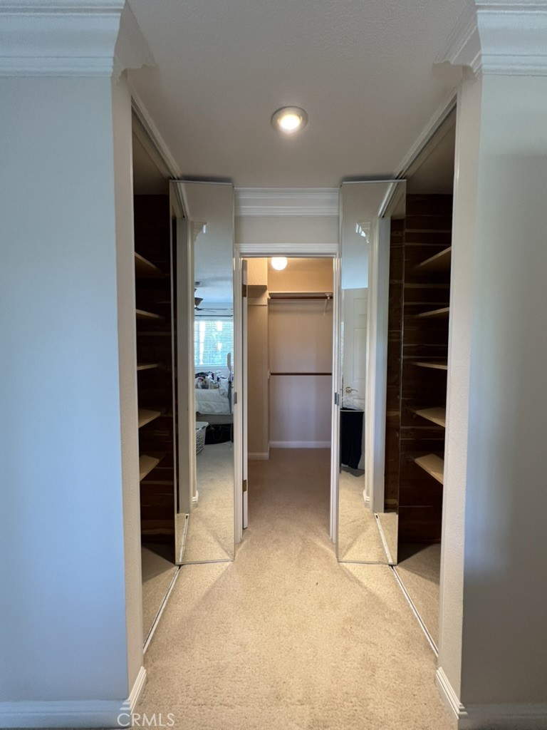 MLS #NS25130040 image #12