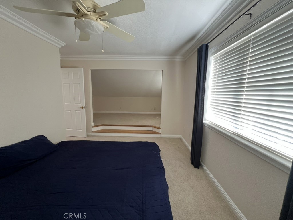 MLS #NS25130040 image #13