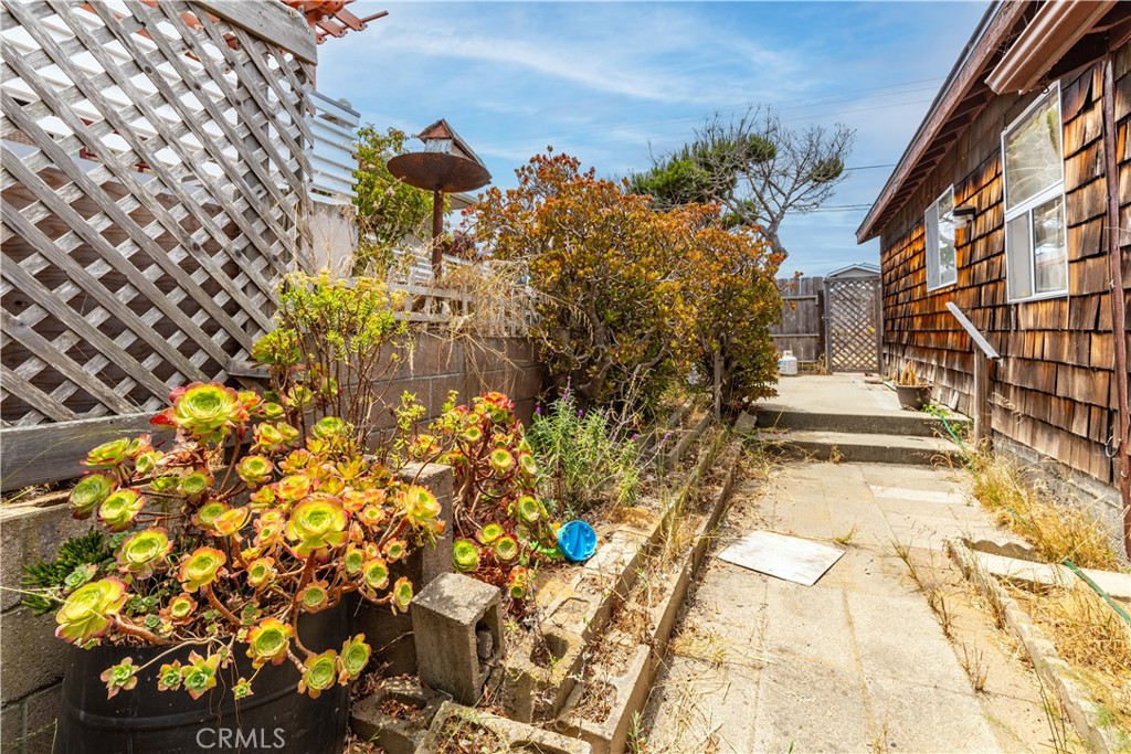 MLS #NS25138154 image #33